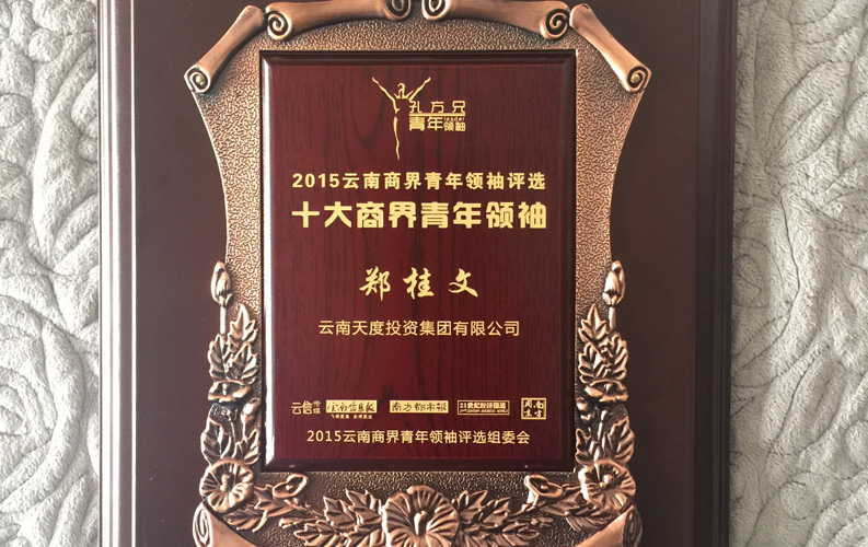 在“互联网大时代”的背景下，绿茵体育作为本土很大和很有名的互联网服务企业，为近万家传统企业转型互联网+提供了服务和帮助，获此奖项后，绿茵体育将再接再厉，创造更高的社会价值